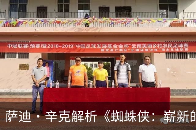 萨迪·辛克解析《蜘蛛侠：崭新的一天》中琴·葛蕾的角色